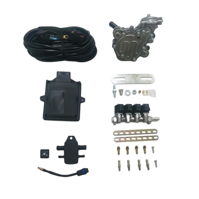48 পিন ECU 4 সিলিন্ডার ইনজেক্টর রেল LPG GPL গাড়ির জন্য LPG মিনি রূপান্তর কিট
