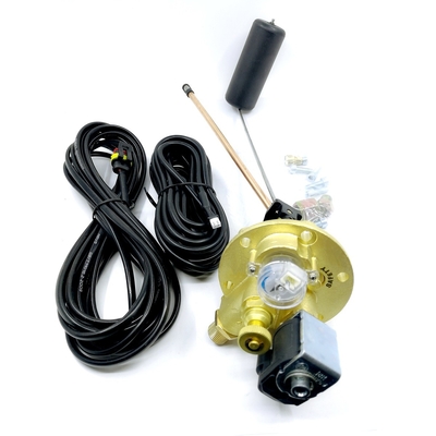 Solenoid ভালভ সহ 2.5MPa এলপিজি গ্যাস ট্যাঙ্ক মাল্টি ভালভ কার গ্যাস ভালভ